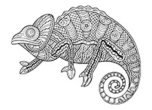 thumbnail_chameleon.jpg