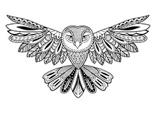 thumbnail_owl.jpg