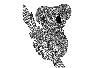 colouring koala