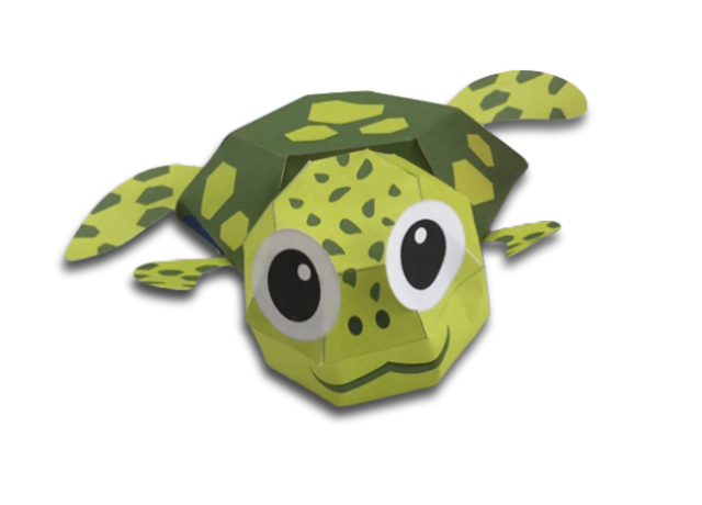 turtle